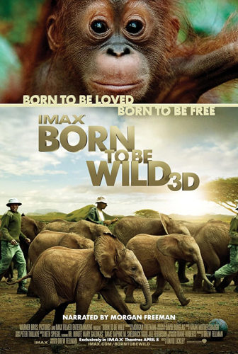فيلم Born to Be Wild 2011 مترجم