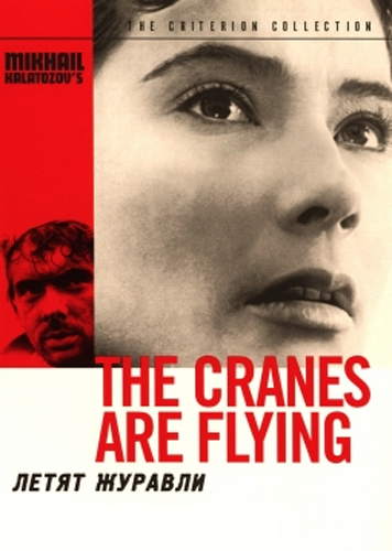فيلم The Cranes Are Flying 1957 مترجم