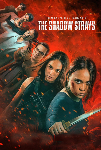 فيلم The Shadow Strays 2024 مترجم