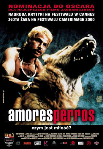 فيلم Amores Perros 2000 مترجم