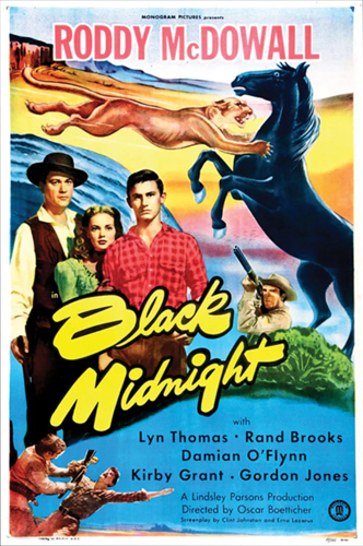 فيلم Black Midnight 1949 مترجم