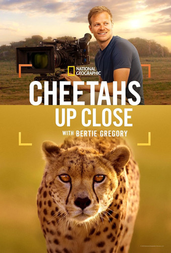 فيلم Cheetahs Up Close with Bertie Gregory 2026 مترجم
