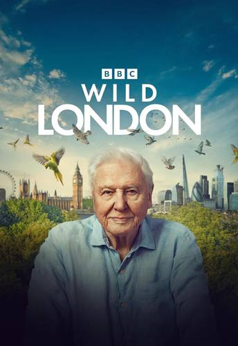 فيلم Wild London 2026 مترجم