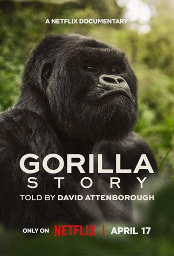 فيلم A Gorilla Story Told by David Attenborough 2026 مترجم