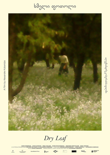 فيلم Dry Leaf 2025 مترجم
