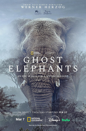 فيلم Ghost Elephants 2025 مترجم